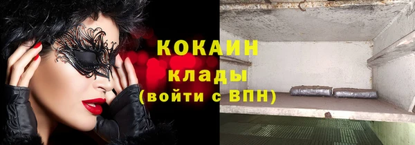 СК Дмитров
