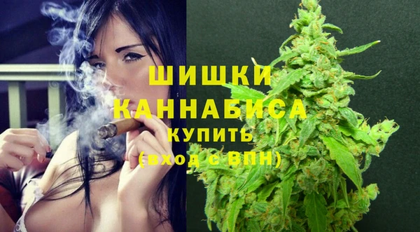 СК Дмитров