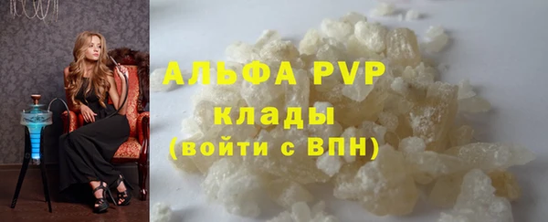 PSILOCYBIN Дмитриев