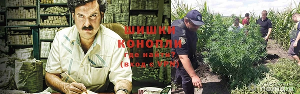 a pvp Дмитровск