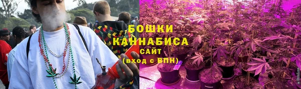 PSILOCYBIN Дмитриев