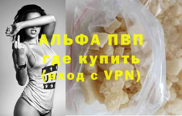 PSILOCYBIN Дмитриев