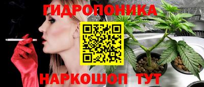 не бодяженный Кандалакша