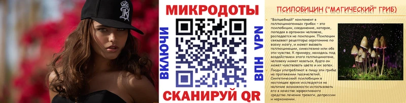 Псилоцибиновые грибы Psilocybine cubensis купить наркотики цена Похвистнево