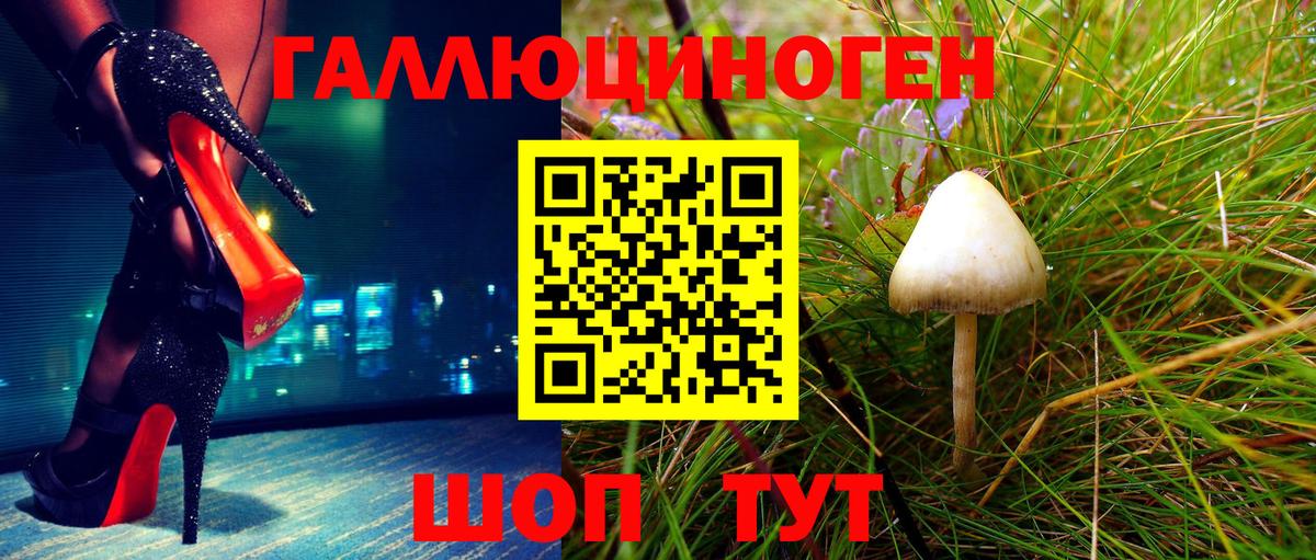 Похвистнево  Галлюциногенные грибы MAGIC MUSHROOMS  где можно купить   Вход с VPN 